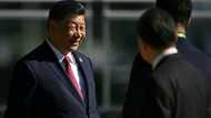 China's Xi urges 'strategic' ties in talks with Germany's Scholz