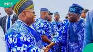 Breaking: Tinubu, Adeleke, 4 other bigwigs in closed-door meeting