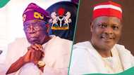 Breaking: “Tinubu’s govt neglects the north, develops southern Nigeria,” Kwankwaso alleges, video trends