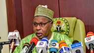 ‘Yan bindiga sun fi jami’an tsaro yawa a Arewa – Gwamna ya bayyana inda matsalar ta ke