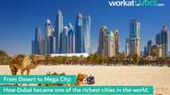 From desert to mega city: How Dubai became one of the richest cities in the world