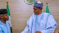 Details Buhari, Osinbajo’s assets as declared by presidency in 2015 emerge