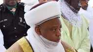 Sultan calls for end to street begging, says Almajiri not Islamic