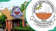 Modibbo Adama University courses and admission requirements (MAUTECH)