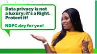 NDPC: Important tips to safeguarding your data privacy rights in Nigeria