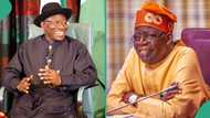 Jonathan's return: Top lawmaker mentions states Tinubu will win if ex-president contests in 2027