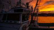 Startups show off ocean-preserving tech at Paris trade fair