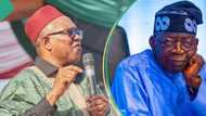 Hardship: ‘Salvage Nigeria from further economic collapse’, Obi cries out to Tinubu, other leaders