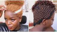 Rock it or trash it: Internet users share thoughts on unique braided wigs in trending clip