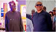 Peter Obi vs Bola Tinubu: Details emerge as INEC closes case in Labour Party's petition