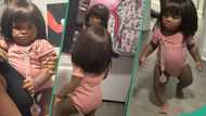 Little girl leaves everyone rolling with laughter as she rocks grandma's wig at home, video trends