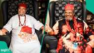 Pete Edochie opens up on his relationship with Nigerian leaders, shares how government handles his requests