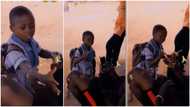 Even if it is iPhone 12, you won't take it to heaven - Boy in school uniform tells man in video, people laugh