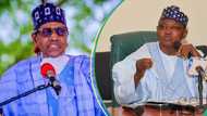 “How I used Villa rat invasion story to cover for Buhari’s Illness,” Garba Shehu explains