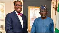 AfDB launches economic support programme to give Nigeria over $6 billion in five years