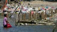 Recycling firm battles Jakarta's plastic waste emergency
