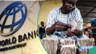 Naira tops World Bank's list of worst performing African currencies in 2023
