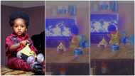 Nigerian boy drums like pro, learns skill from watching TV, video stirs massive reactions