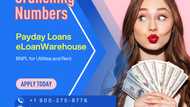 Payday Loans eLoanWarehouse vs BNPL for Utilities and Rent: Crunching Numbers