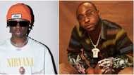 Rema's Twitter meltdown: Davido reacts as man makes unsavoury joke about him slapping singer