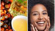 Palm kernel oil usage and benefits for skin lightening