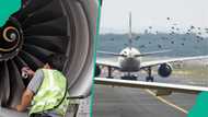 Stakeholders finally identify reasons behind flight delays, cancellations as airlines suffer N3 billion loss