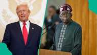 The country of particular concern trap: What the US Senate got wrong about Nigeria’s crisis