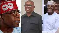 Obi, Atiku vs Tinubu: Former presidential campaign director predicts who will win at tribunal