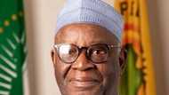 Ibrahim Gambari: Nigerians in diaspora commend President Buhari