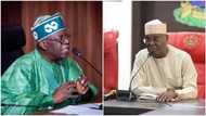 Political analyst predicts winner of 2023 presidential election, gives reason