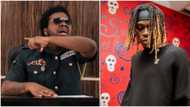 Fireboy DML quickly reacts as Olamide 'threatens' to leak his next album that has been ready since 2021