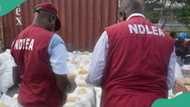 Osun monarch, corps member in NDLEA net for alleged drug trafficking