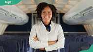 Flight Attendant Salary in Nigeria: How Much Do Domestic and International Cabin Crew Earn?