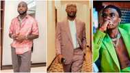 "You want to perch on his wing to fly ": Mr Jollof slams Wizkid over tour announcement with Davido