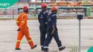 Dangote announces new job vacancies for graduates, ND holders