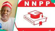 NNPP na neman jika wa Kwankwaso aiki, ta rubuta wasika ga hukumar INEC