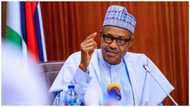 Imo explosion: Buhari reacts, orders clampdown on illegal refineries