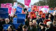German 'bureaucracy monster' on everyone's election hit list