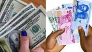 Naira falls massively to N755 at official market as CBN fulfils President Tinubu's wishes