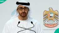UAE announces free private teacher work permit, explains requirements