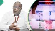 CBN swaps $12 billion between Access, UBA, GTB, others in 2022