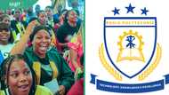 Ronik Polytechnic courses, admission requirements and application