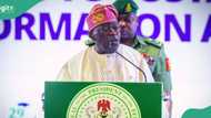 WAFCON glory: List of Nigeria's sporting achievements under Tinubu