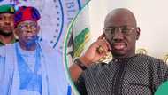 Timi Frank slams Tinubu over 'superficial' cost-cutting measures, demands 50% reduction in salaries