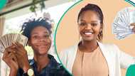African countries with the highest number of dollar millionaires revealed as Nigeria ranks high
