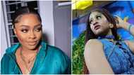 “Phyna is annoyingly loud”: BBNaija's Tega speaks, says she'll voluntarily exit if they were in the same house