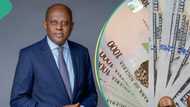 Experts explain why naira could continue falling despite CBN’s limitation policy