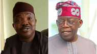 Amotekun: You're double-speaking - Afenifere fires Tinubu