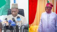 Why Tinubu should not run for second term, Peter Obi's running mate Datti Baba-Ahmed explains