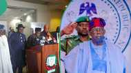 Economic hardship: PDP governors acting irresponsible, says pro-Tinubu group